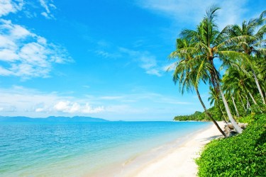 SPIAGGIA TROPICALE | Carta da parati mare caraibico